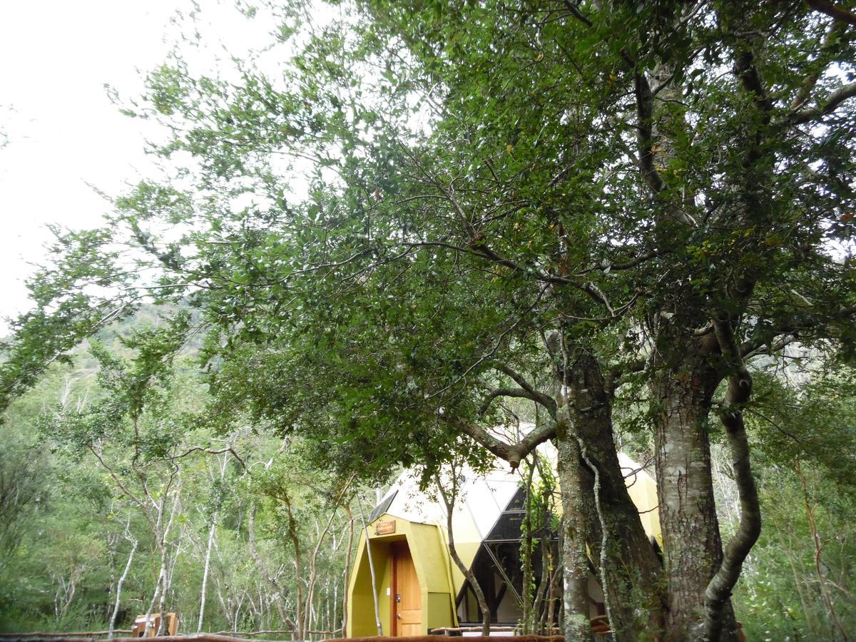 Villa Cuyinco Domos Rininahue Esterno foto